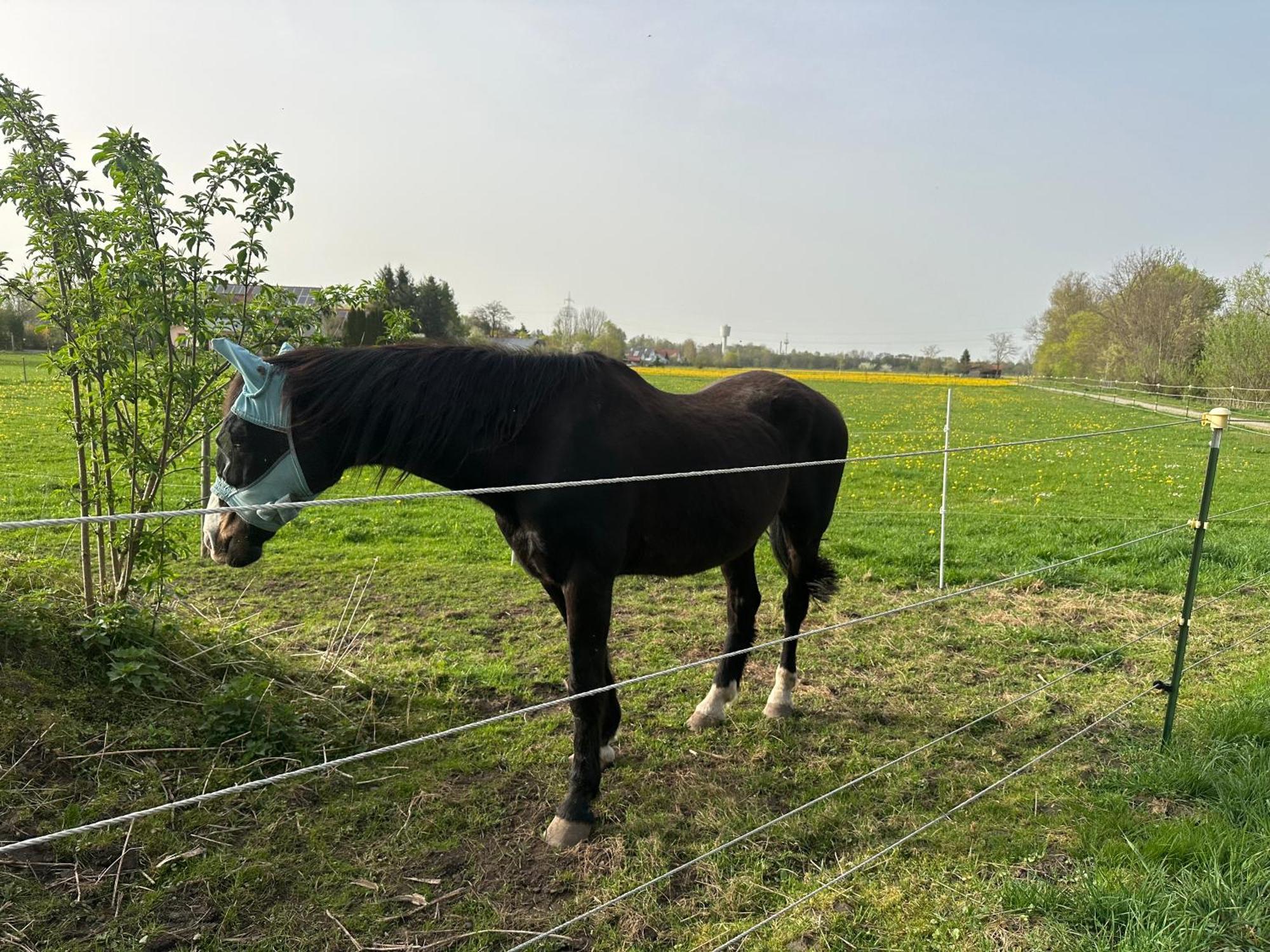 Landhaus Lindenberg Buchloe Exteriér fotografie
